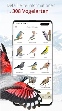 Vogelführer Birdlife Schweiz screenshots