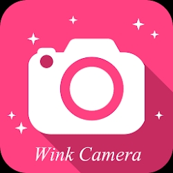 Wink Camera