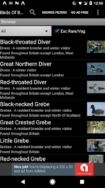 Birds Of Britain screenshots