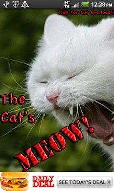 The Cat's Meow screenshots