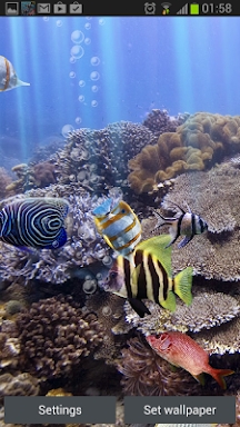 The real aquarium - LWP screenshots