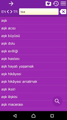 English Turkish Dictionary screenshots