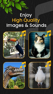 Animal Ringtone: AI Wallpapers screenshots