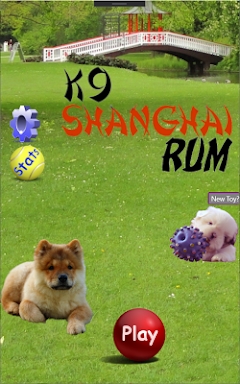 K9 Shanghai Rummy screenshots