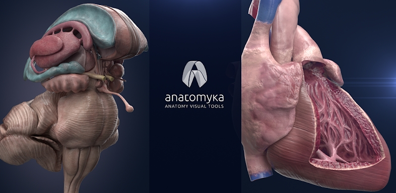 Anatomyka - 3D Anatomy Atlas screenshots