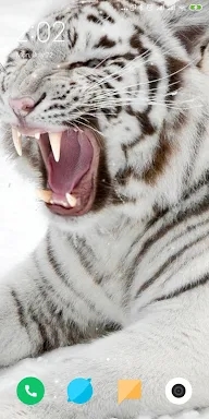 Tiger Live Wallpaper screenshots