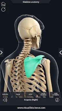 Skeleton Anatomy Pro. screenshots
