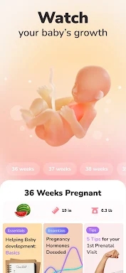 WeMoms Pregnancy Baby Tracker screenshots