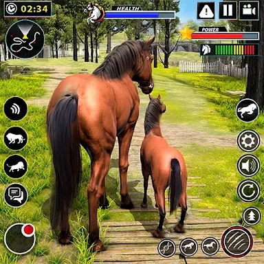 Wild Horse Family Simulator screenshots
