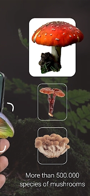 Mushroom Identifier - Picture Mushroom screenshots