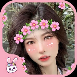 Crown Heart Emoji live Filters
