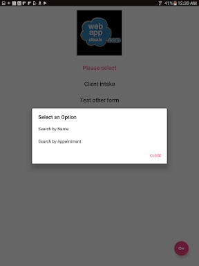 SalonCloudsPlus Intake Form screenshots