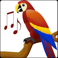 اصوات الطيور - Birds Sounds