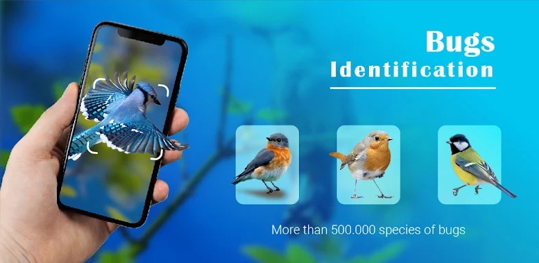 Bird Identifier - Picture Bird screenshots