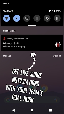 Hockey Horns Live screenshots