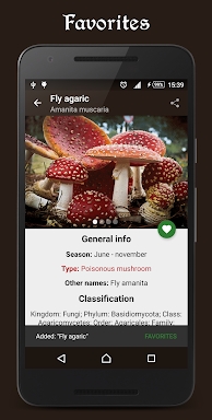 Book of Mushrooms screenshots