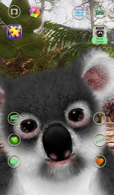 Talking Koala Bear screenshots