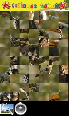 Animal Games screenshots