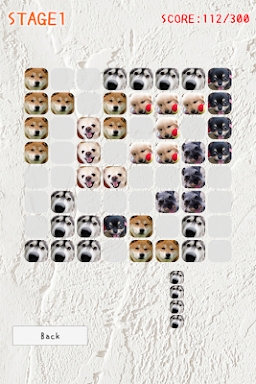 Arrange Dogs screenshots