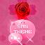 Theme rose pink cute GO SMS icon