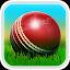 Cricket 3D icon