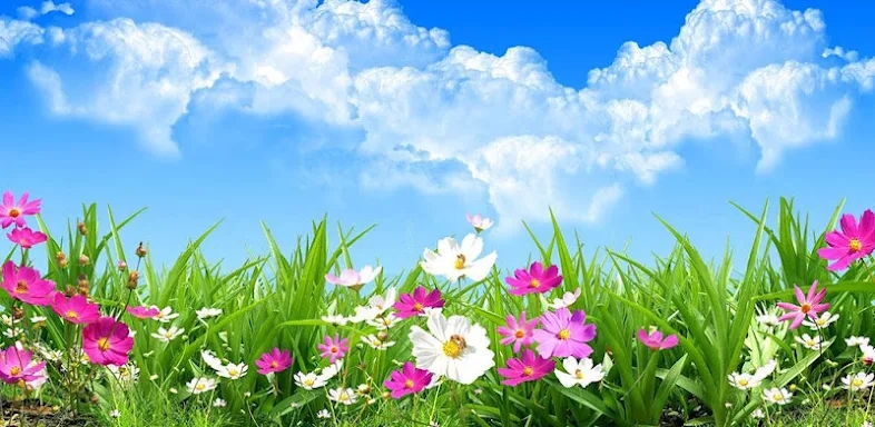 Flower Spring Live Wallpaper screenshots