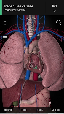 Anatomyka - 3D Anatomy Atlas screenshots