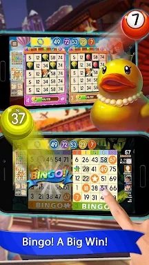 Bingo Blaze - Bingo Games screenshots