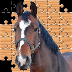 Jigsaw Horses