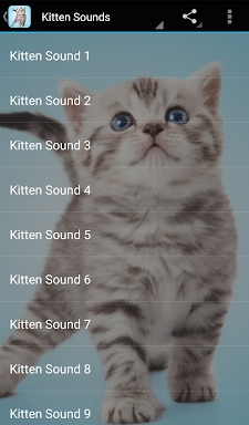 Kitten Sounds screenshots