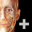Human Anatomy Atlas 2023＋ icon