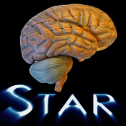 Anatomy Star - CNS (the Brain)