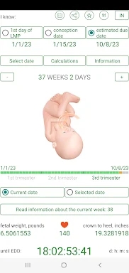 Pregnancy Due Date Calculator screenshots