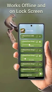 Dove Hunting Calls screenshots