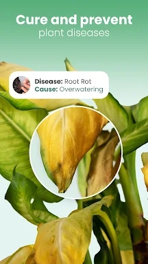 Blossom - Plant Identifier screenshots