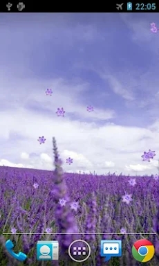 Lavender Live Wallpaper screenshots
