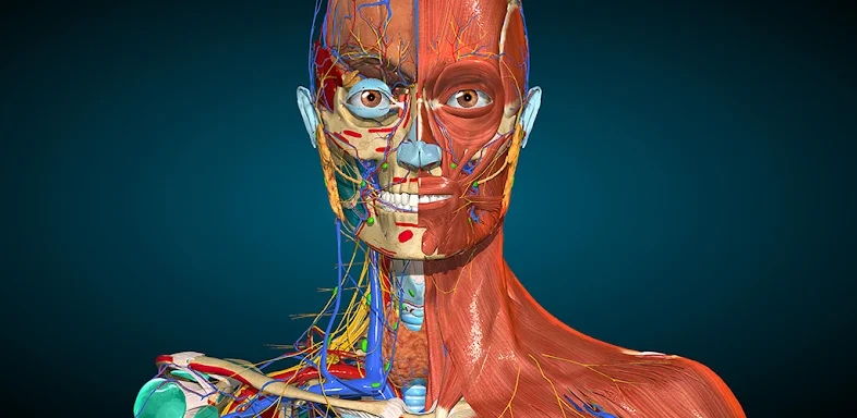 Anatomy Learning - 3D Anatomy screenshots