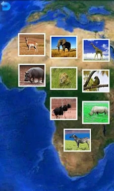 Animal Puzzle screenshots