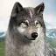 Wolf Game: Wild Animal Wars icon