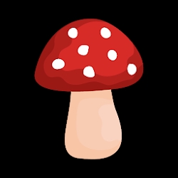 Shroomify - USA Mushroom ID