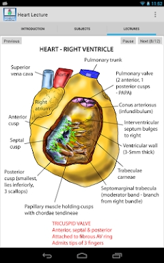 Anatomy Lectures - the heart screenshots