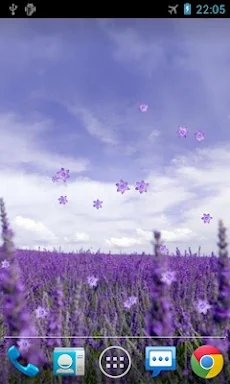 Lavender Live Wallpaper screenshots