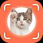 Cat Identifier - Cat Scanner icon