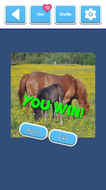 Jigsaw Horses screenshots