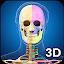 Skeleton Anatomy Pro. icon