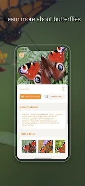 Butterfly Identifier - Insect screenshots