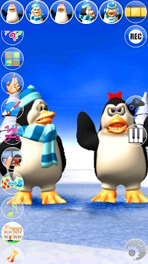 Talking Pengu & Penga Penguin  screenshots