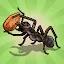 Pocket Ants: Colony Simulator icon