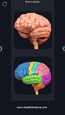 Brain Anatomy Pro. screenshots