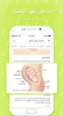 طفلي لايف – حاسبة الحمل والولا screenshots